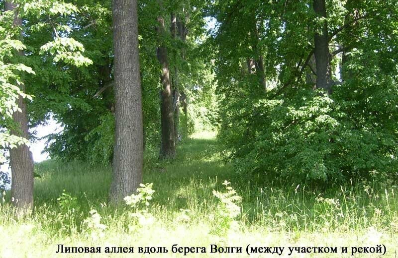 земля р-н Угличский с Красное Маймерский сельский округ фото 6