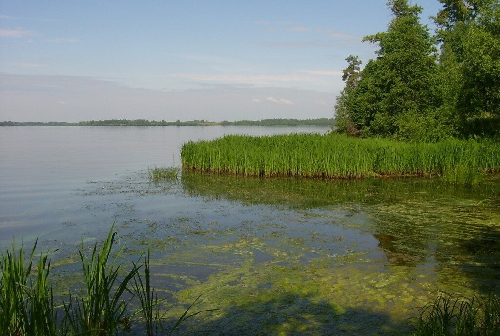 земля р-н Угличский с Красное Маймерский сельский округ фото 24