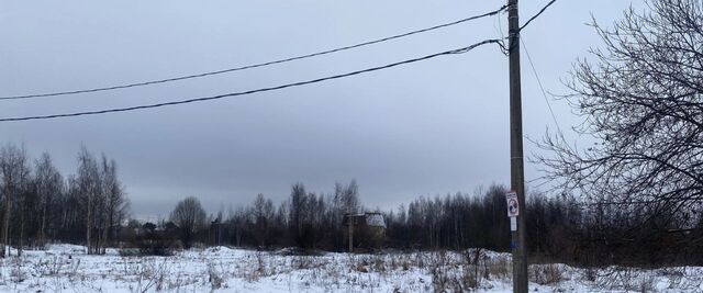 метро Проспект Ветеранов Сергиево ул Совхозная фото