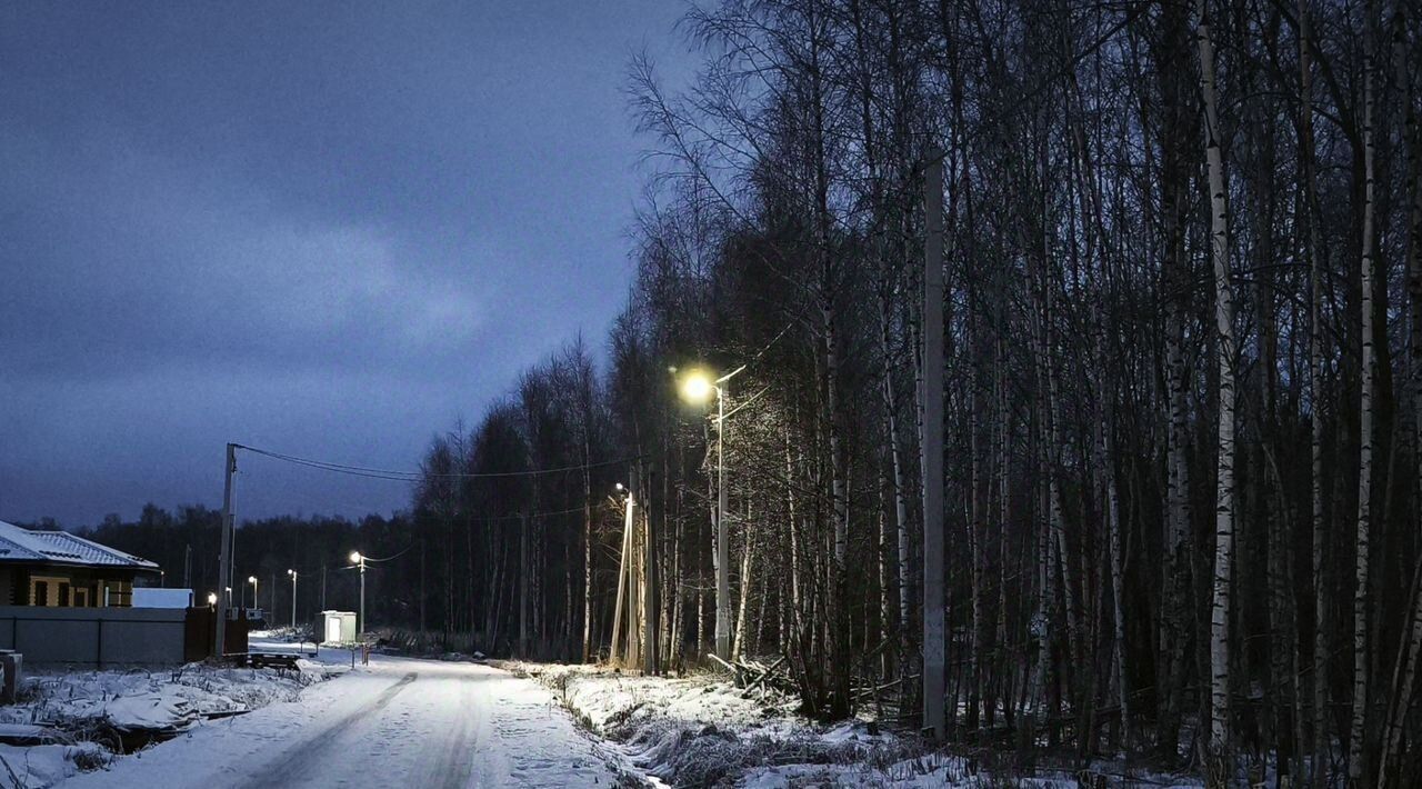 земля г Домодедово с Растуново ул Центральная фото 2