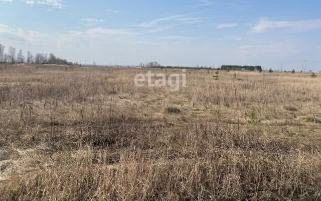 земля р-н Тукаевский с Ильбухтино ул Лермонтова Малошильнинское сельское поселение фото 1