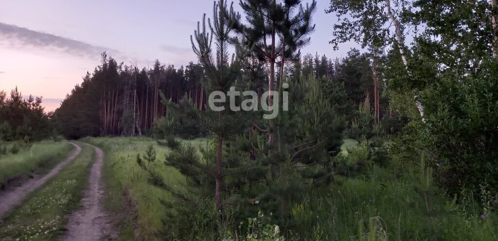 земля р-н Елабужский с Поспелово Поспеловское сельское поселение фото 1