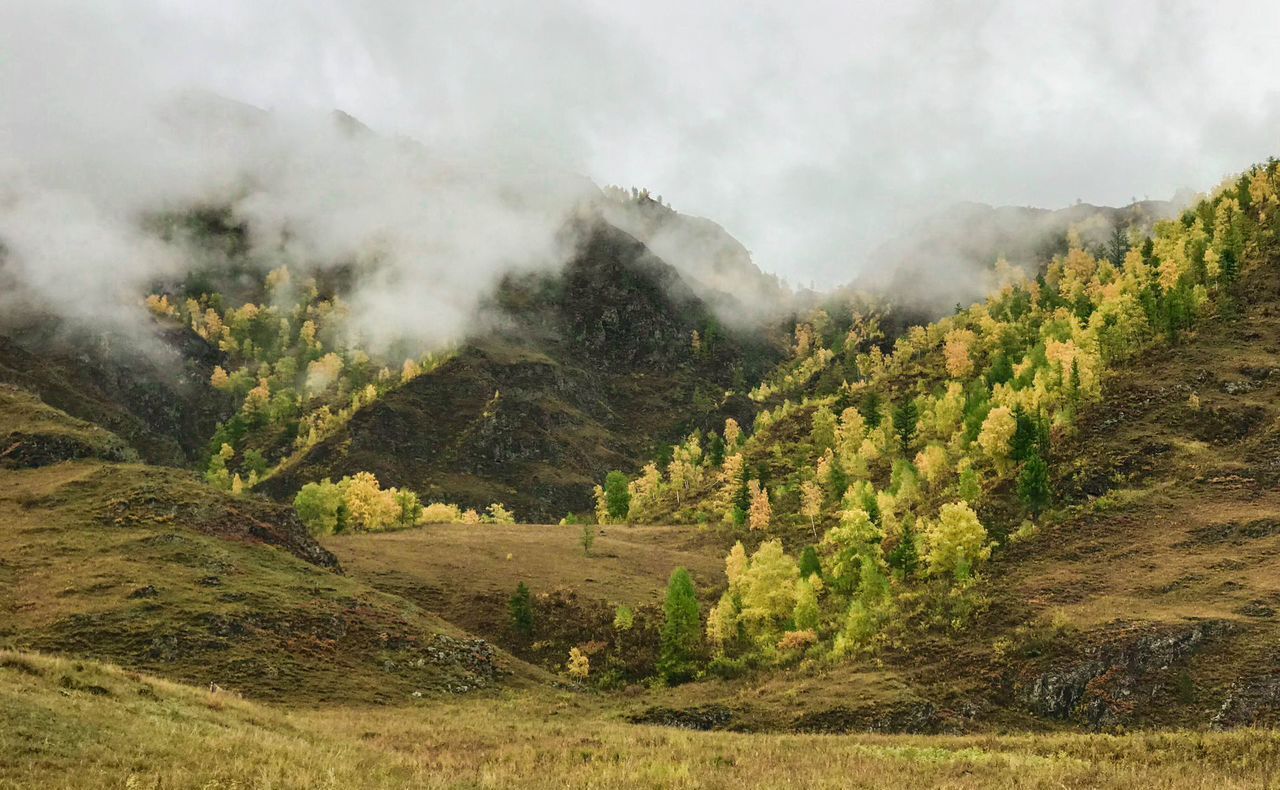 земля р-н Чемальский Ороктойский мост, Онгудай фото 5