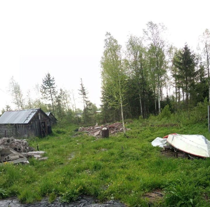 земля р-н Подпорожский снт Березник Вознесенское городское поселение, Вознесенье городской поселок фото 2