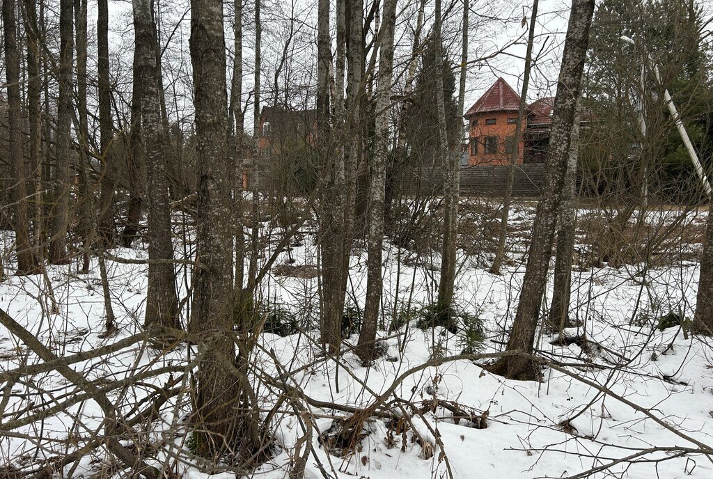 земля городской округ Щёлково д Горбуны фото 4