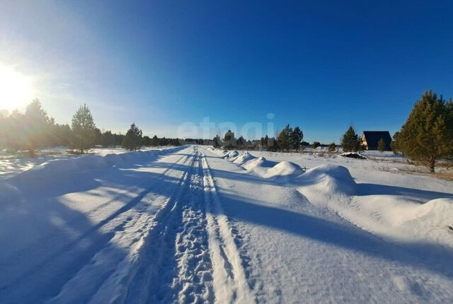 р-н Нижнетавдинский снт Березка фото