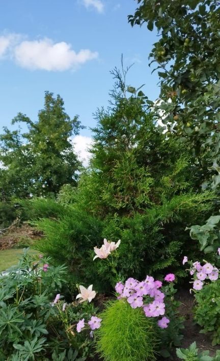дом г Омск р-н Октябрьский СОСН Фиалка тер., аллея 2-я, 3 фото 15