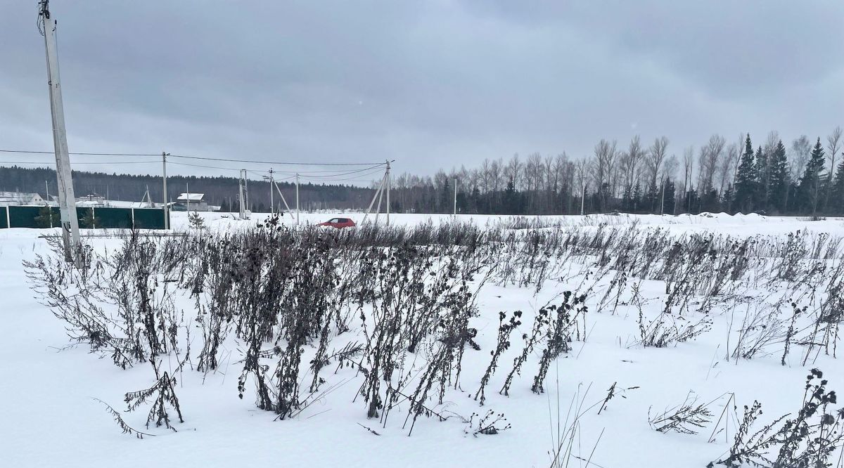 земля городской округ Истра д Бужарово Бужарово Лайф кп, 49 фото 7