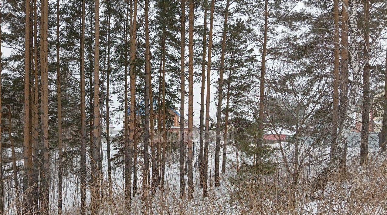 земля г Томск мкр Наука р-н Советский фото 2