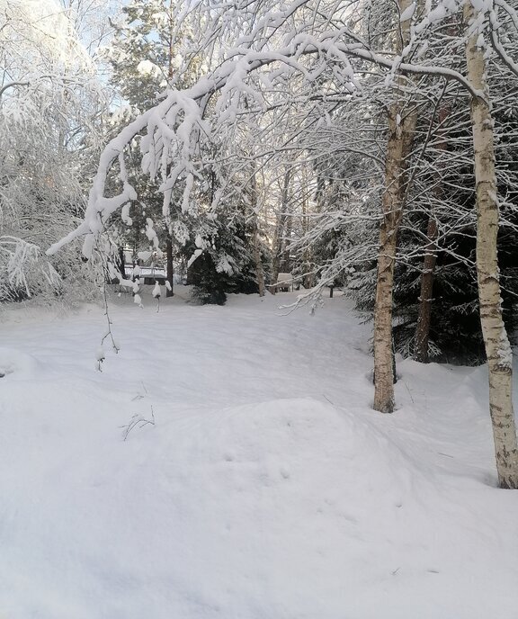 земля городской округ Одинцовский г Звенигород Нахабино фото 2