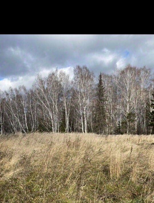 дом р-н Манский с Тертеж ул Зеленая Каменский сельсовет фото 48