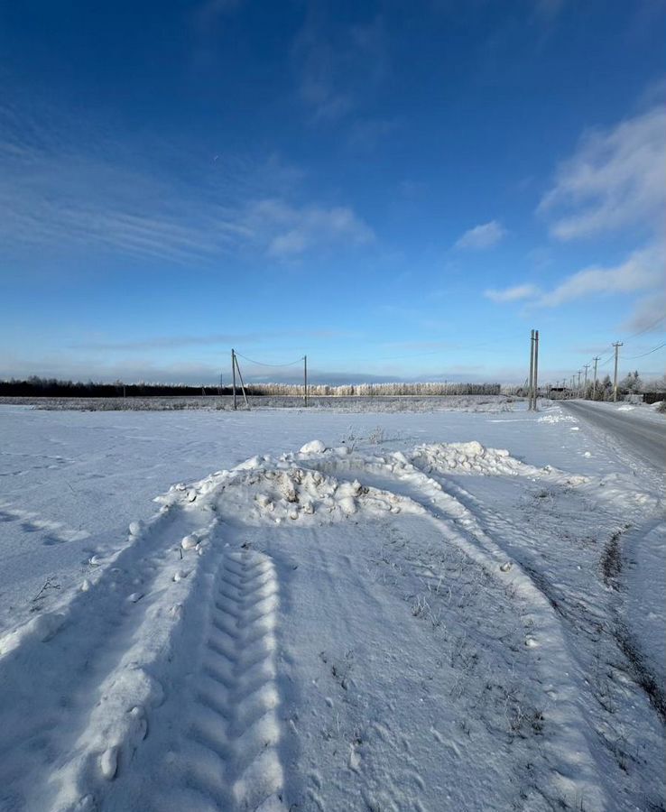 земля р-н Лаишевский д Травкино ул Парковая Республика Татарстан Татарстан, Кирбинское сельское поселение, Столбище фото 10