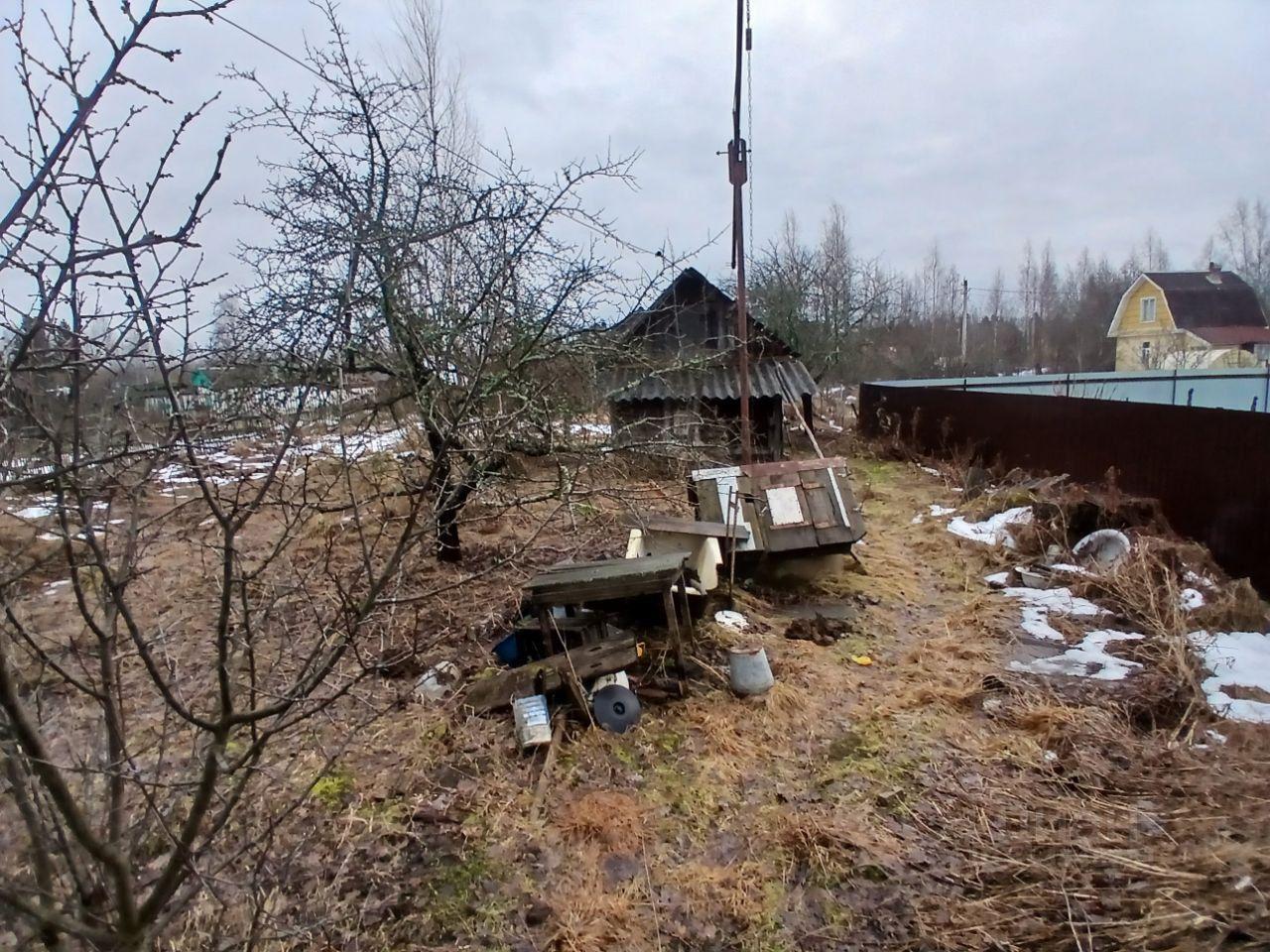 земля р-н Тихвинский д Лазаревичи Тихвинское городское поселение фото 4