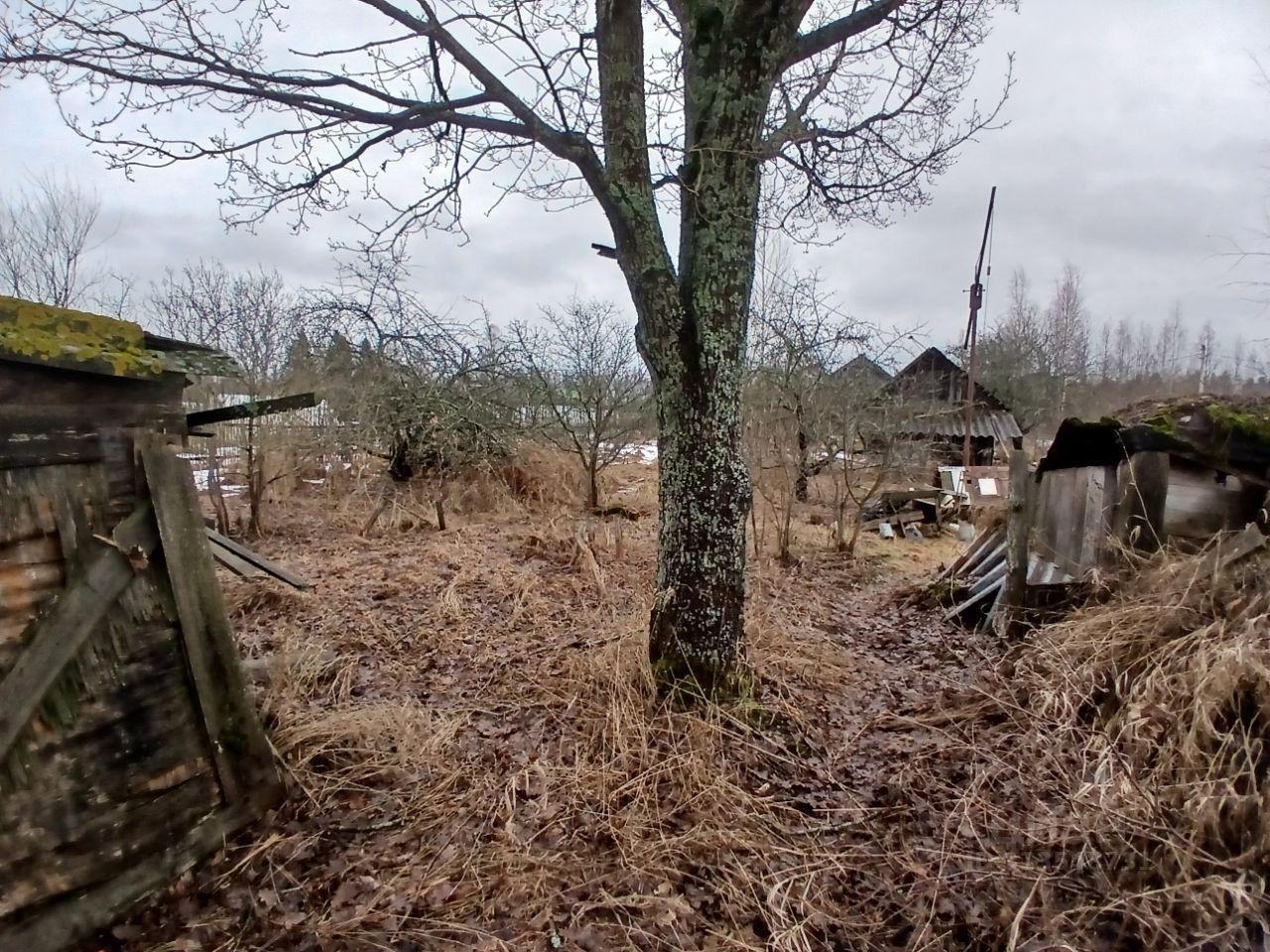 земля р-н Тихвинский д Лазаревичи Тихвинское городское поселение фото 10