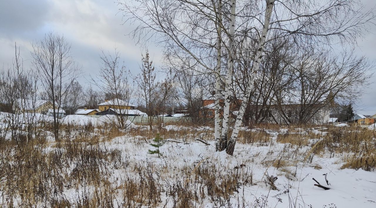 земля городской округ Орехово-Зуевский г Ликино-Дулёво ул 1-я Автозаводская фото 2