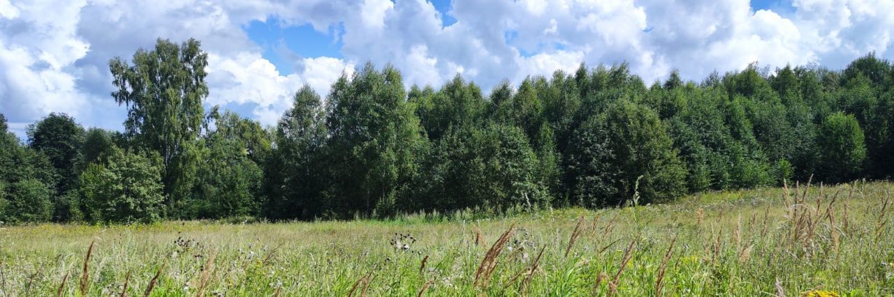 земля городской округ Солнечногорск д Мостки фото 1