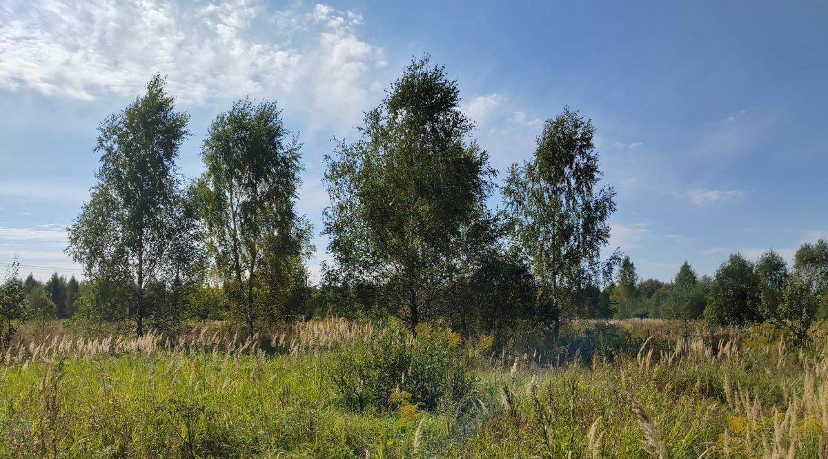 земля городской округ Чехов д Сенино фото 1