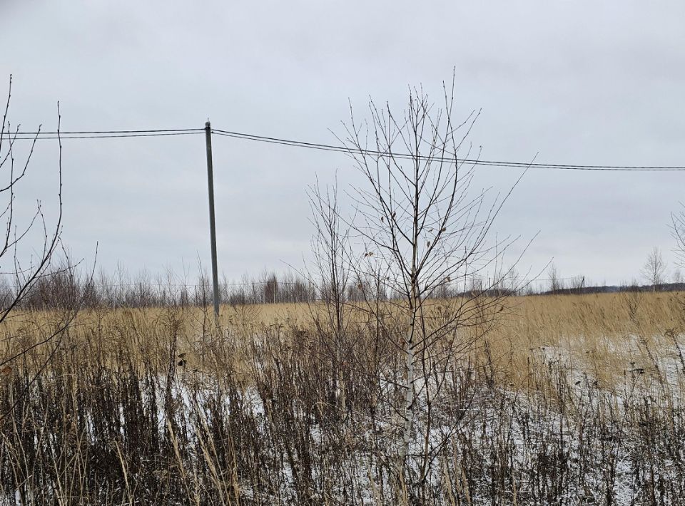 земля городской округ Луховицы п Совхоза Астапово фото 1