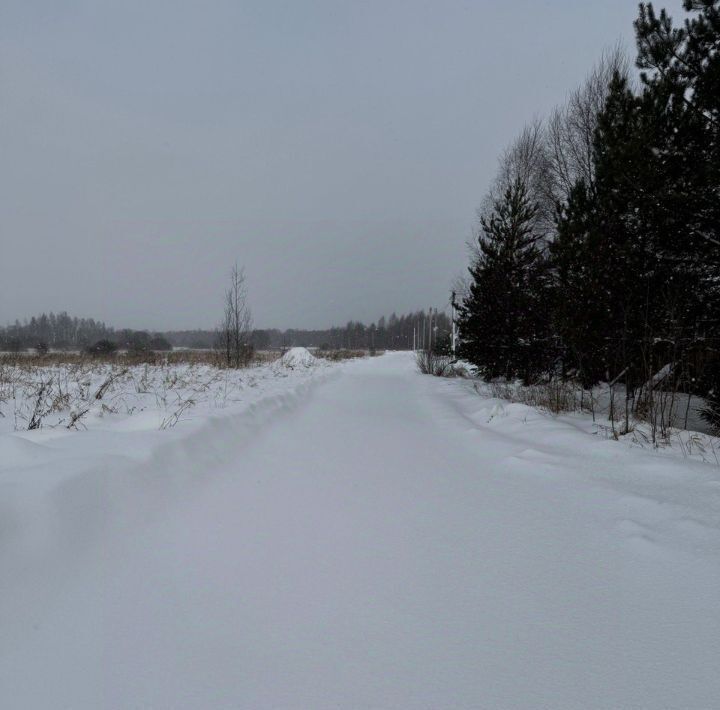 земля городской округ Талдомский д Мякишево фото 2