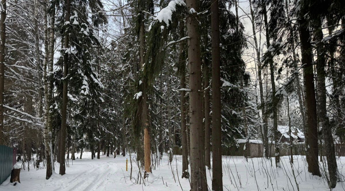 земля городской округ Солнечногорск дп Поварово ул Рабочая 10 Зеленоград — Крюково фото 2