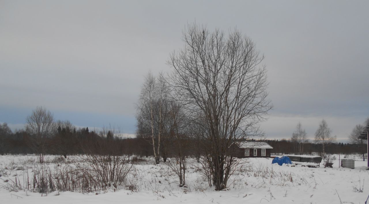 земля городской округ Шаховская д Костино фото 1