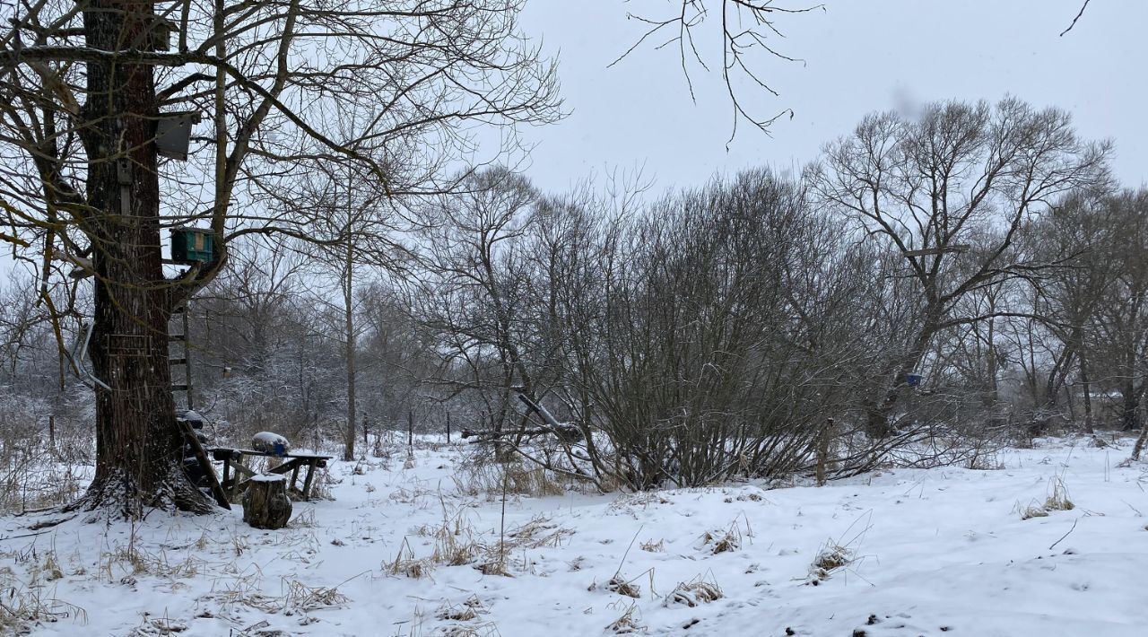 земля городской округ Клин д Еросимово фото 1