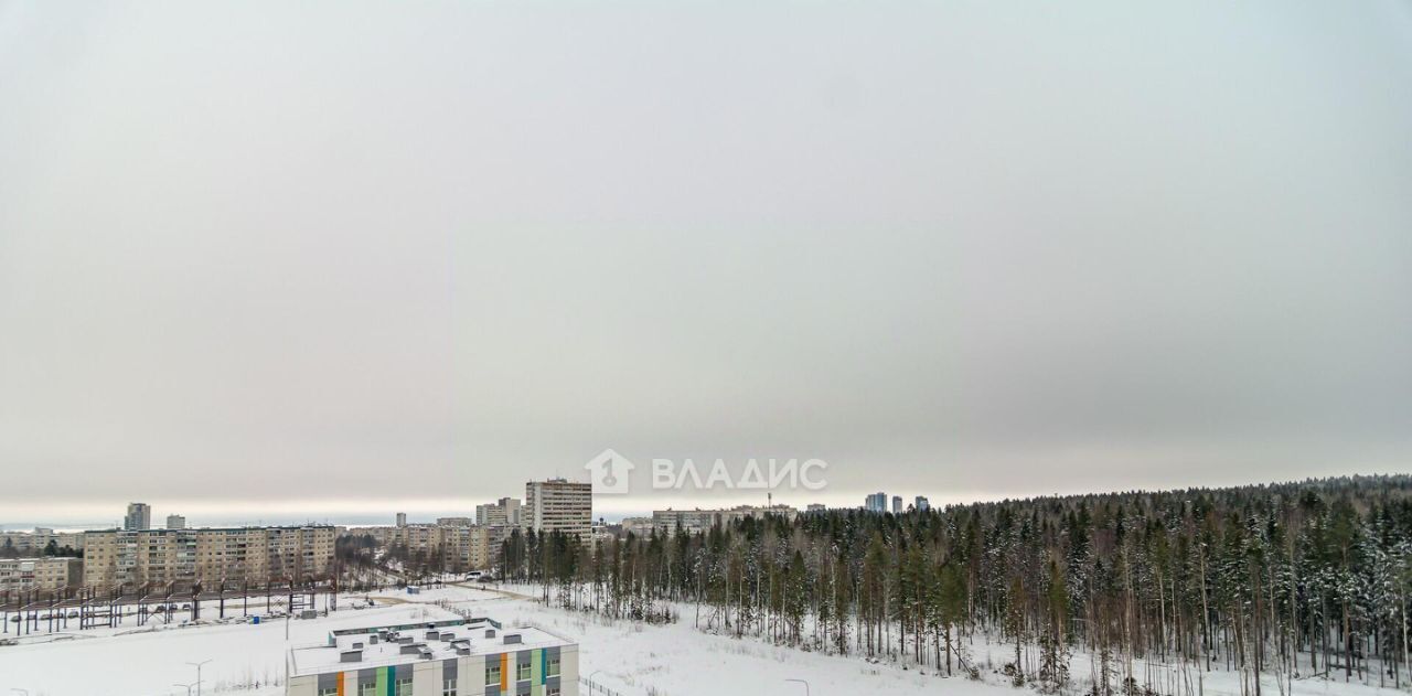 квартира г Петрозаводск ул Энтузиастов 9 фото 11