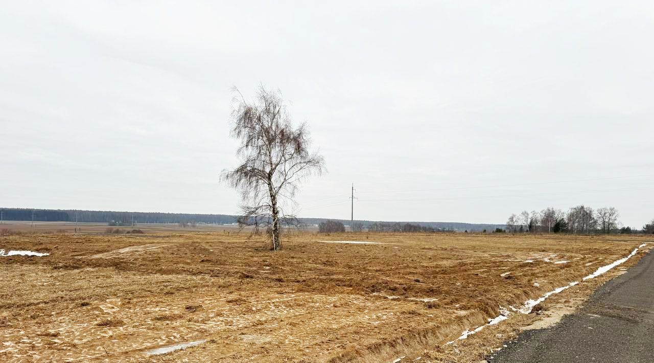 земля городской округ Раменский с Давыдово фото 6