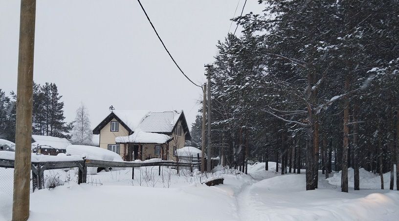 земля г Нижневартовск снт Энергетик-2 ул. 13-я, 425, Сургут фото 2