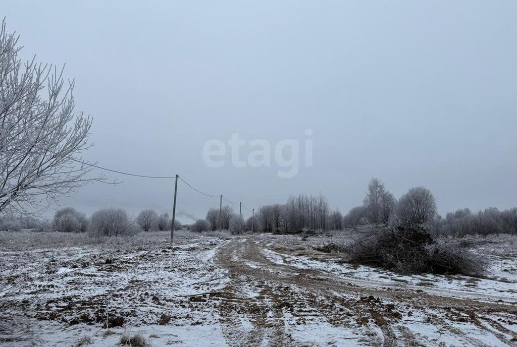 земля г Кострома ул Родная фото 4