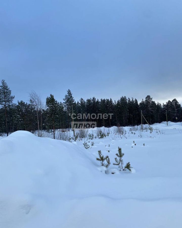 земля г Сургут тер ДНТ Алтай Тюменская обл. фото 2