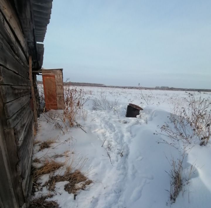 дом р-н Любинский д Помогаевка фото 19