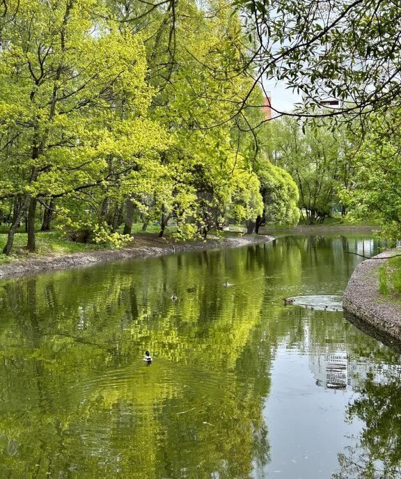 квартира г Москва метро Медведково ул Полярная 54к/1 фото 30