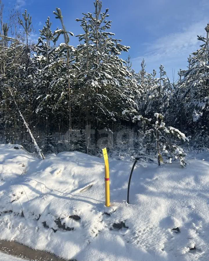 земля р-н Гатчинский снт тер.Своё Место Гатчинское шоссе, 17 км, Веревское сельское поселение, Тайцы фото 9