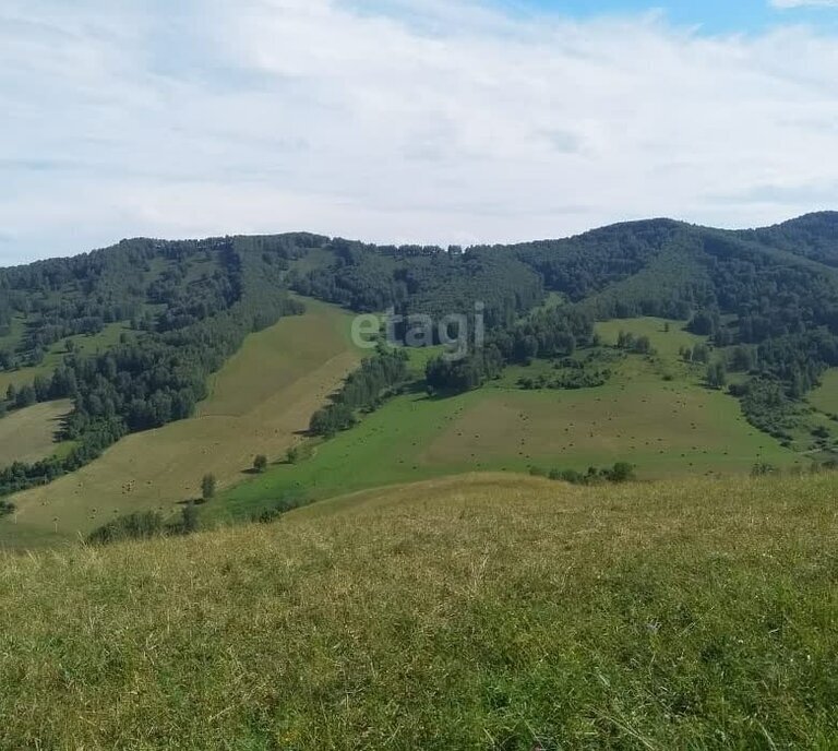 земля г Горно-Алтайск фото 3