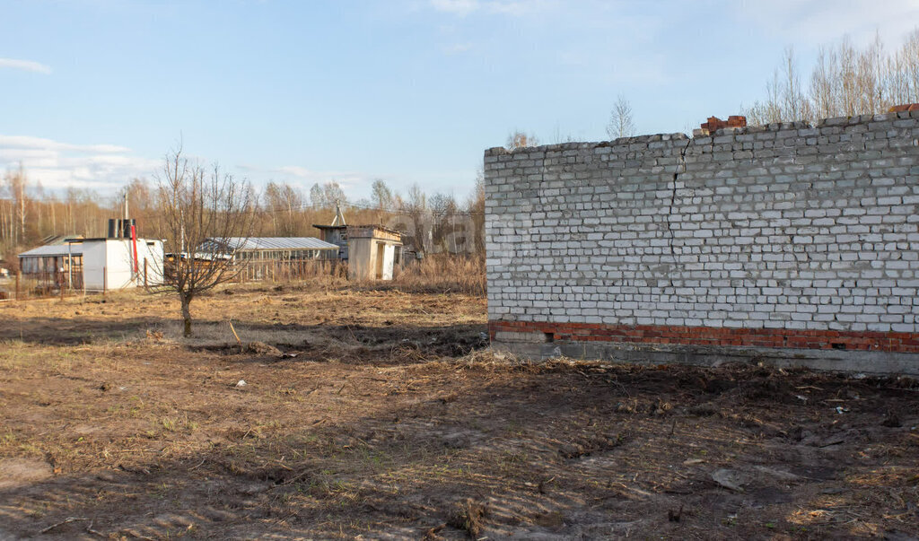 земля г Тобольск садоводческое товарищество Домостроитель фото 3