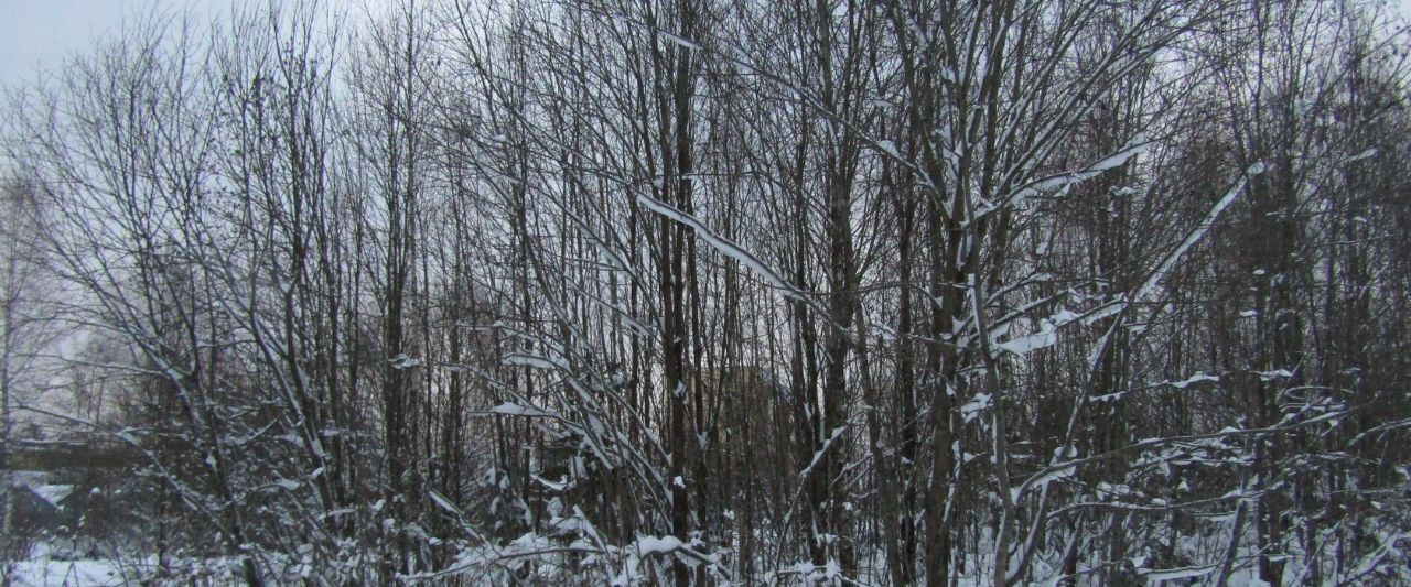 земля городской округ Рузский с Покровское фото 1