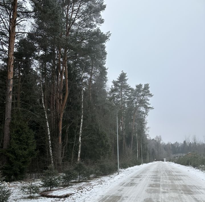 земля городской округ Солнечногорск д Благовещенка ул Центральная 20 Химки городской округ, Пятницкое шоссе фото 5