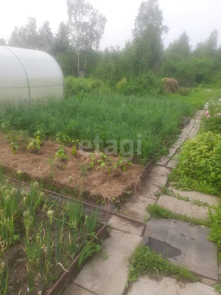 дом г Комсомольск-на-Амуре р-н Новый ул Школьная 35 сельское поселение Село Новый Мир, Мир, Комсомольский район фото 16