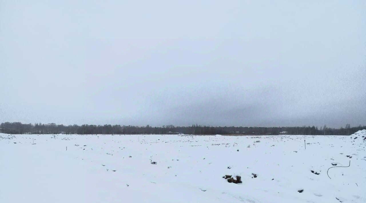 земля р-н Всеволожский массив Капитолово Бугровское городское поселение, Парнас фото 8