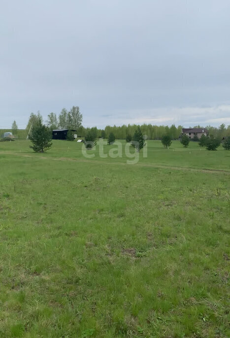 земля р-н Аргаяшский д Малая Куйсарина Яраткуловское сельское поселение фото 3