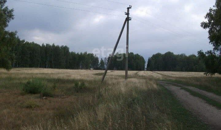 земля р-н Аргаяшский д Левашева Акбашевское сельское поселение фото 2