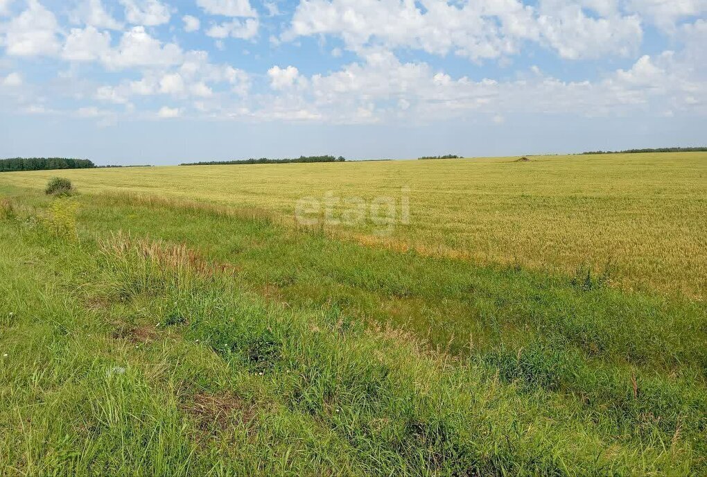 земля р-н Сосновский п Прудный Краснопольское сельское поселение фото 1