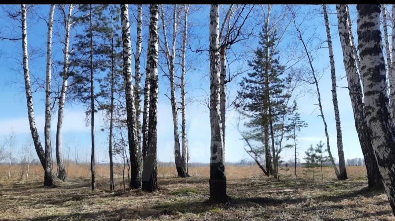 земля р-н Новосибирский тер. ДНТ Царская Усадьба Кубовинский сельсовет фото 2