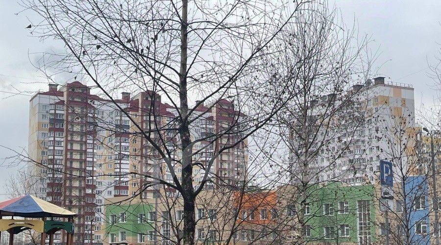 квартира городской округ Ленинский рп Дрожжино ул Южная 14 Бутово парк 2 Бутово фото 4