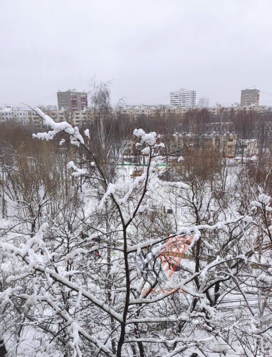 квартира г Москва метро Новогиреево ул Реутовская 8к/3 муниципальный округ Вешняки фото 12