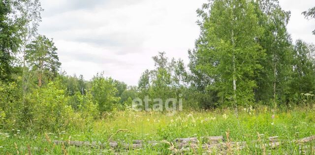 снт Берег Барышевский сельсовет, ДНП, 153, Лазурный фото