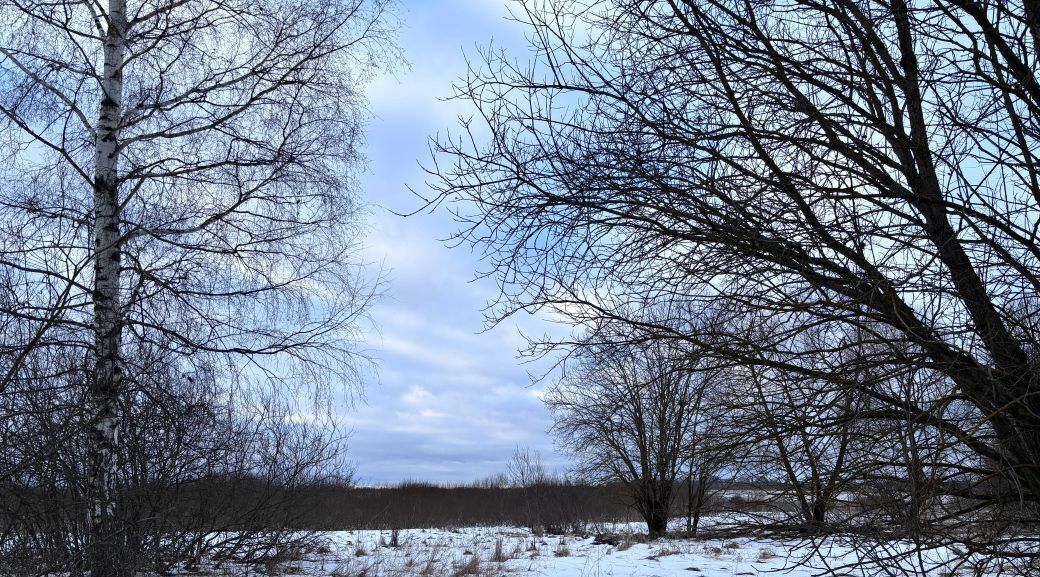 земля городской округ Клин д Ватолино фото 1