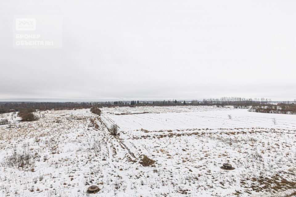 квартира г Пушкин Гуммолосары ЖК «Александровский» Пушкинский, улица Анциферовская, 13 ст 1 фото 4