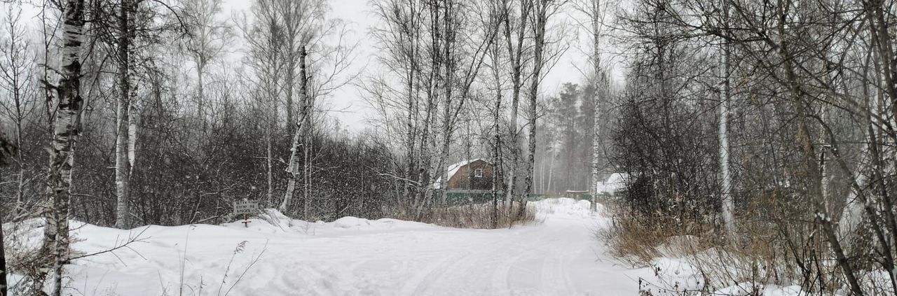 дом г Новосибирск р-н Первомайский снт Черемушки 240 фото 5